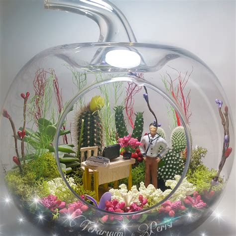 The Transformational Power of Witch Doctor Symbolism in Terrariums